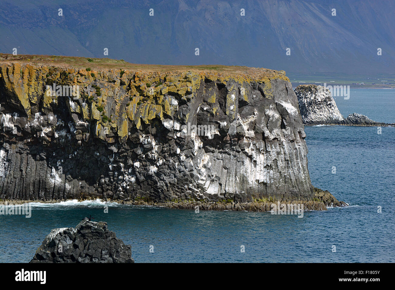 Falaises de nidification Islande Islande paysages naturels collection Banque D'Images