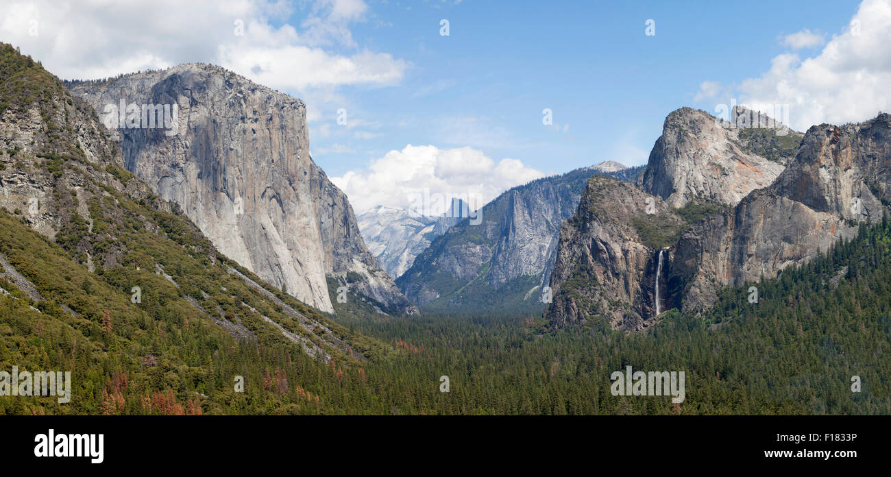 La vallée Yosemite, Yosemite National Park, California, USA Banque D'Images