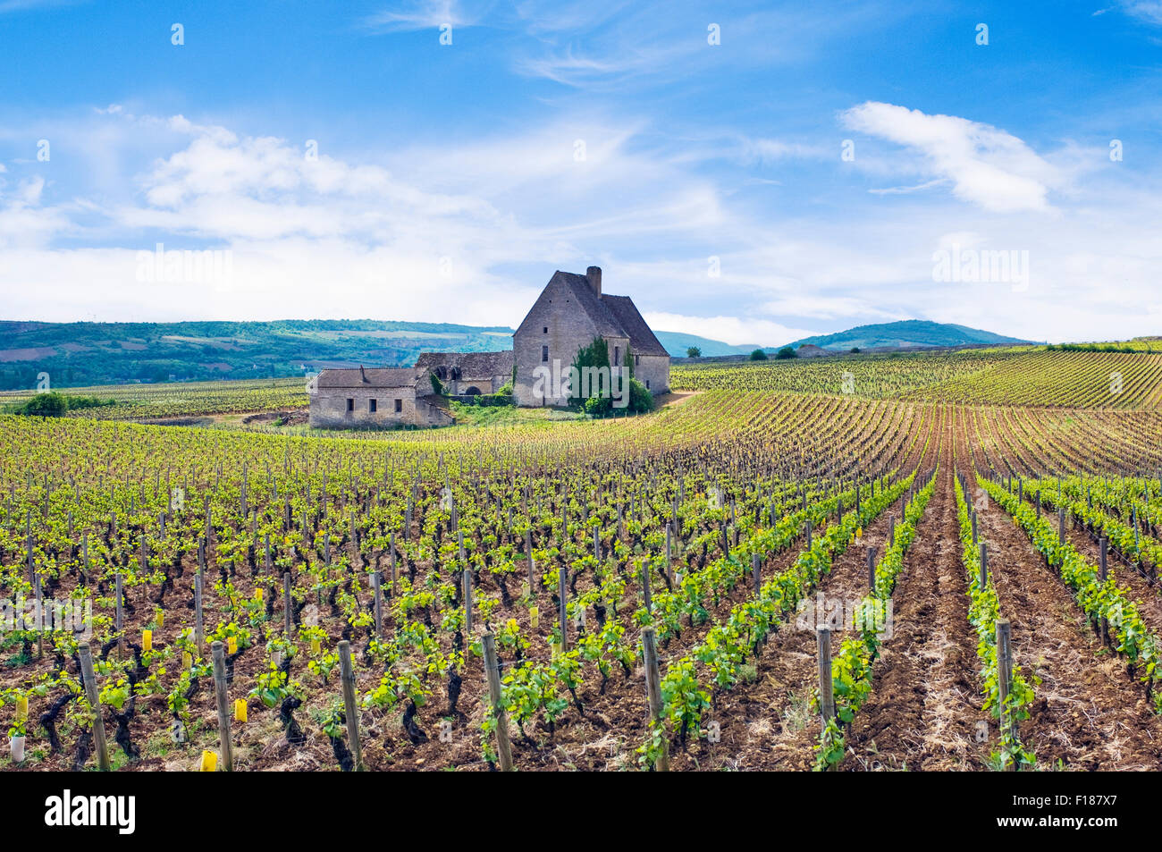 L'Abbaye de Morgeot Chassagne-Montrachet et de vignobles dans la région