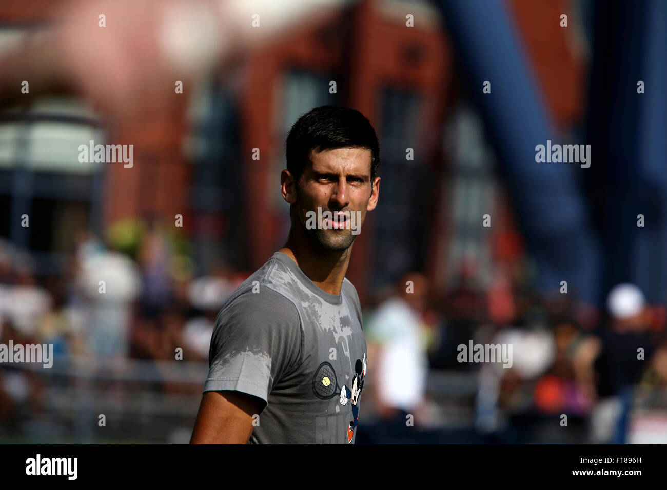 New York, USA. Août 29, 2015. Numéro un, Novak Djokovic, lors d'une session pratique à l'USTA Billie Jean King National Tennis Center de Flushing Meadows, New York Vendredi, Août 29th, 2015. Il se prépare à l'US Open qui débute lundi. Crédit : Adam Stoltman/Alamy Live News Banque D'Images