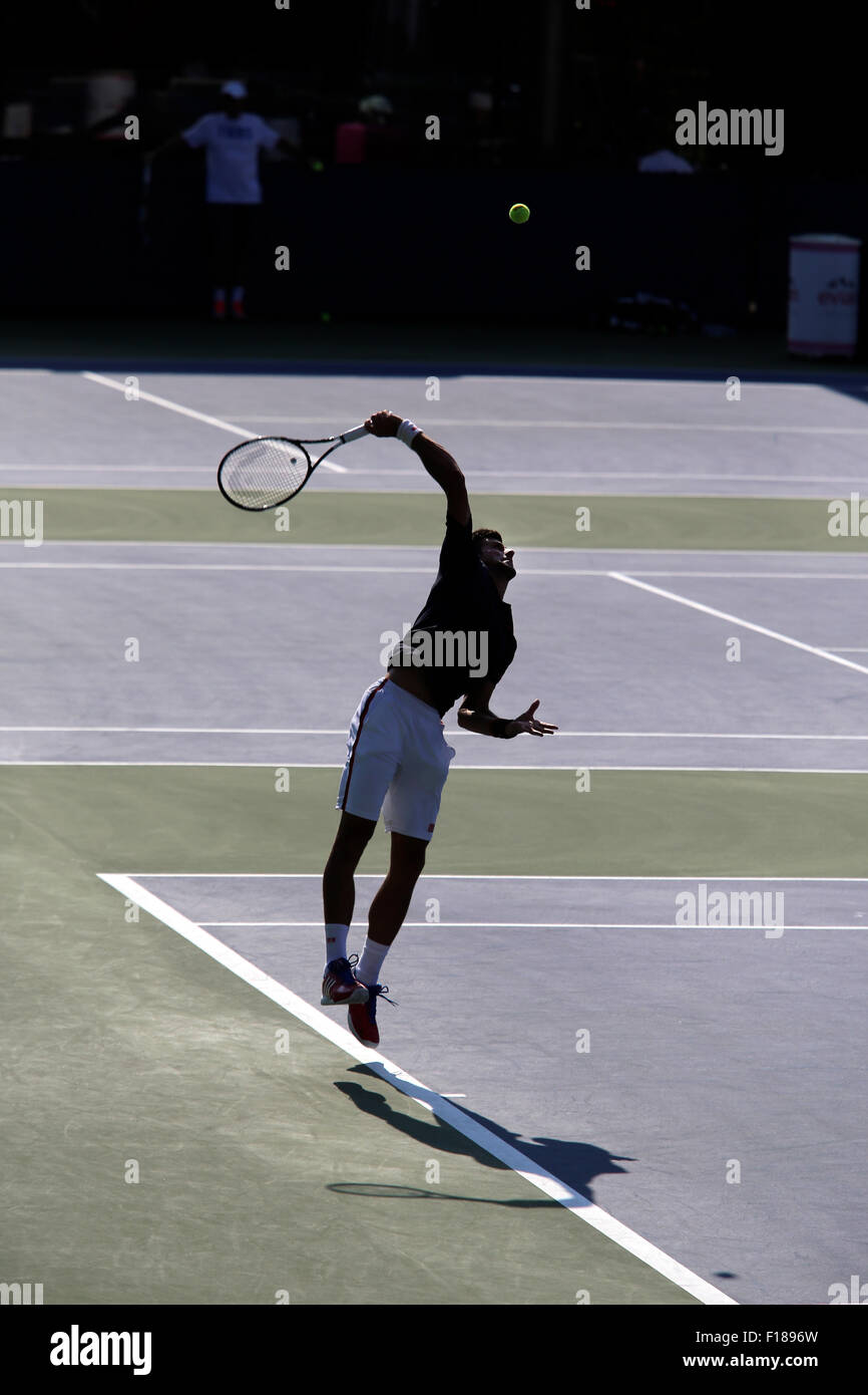 New York, USA. Août 29, 2015. Numéro un Novak Djokovic sert pendant une séance d'essai à l'USTA Billie Jean King National Tennis Center de Flushing Meadows, New York le Samedi, Août 29th, 2015. Il se prépare à l'US Open qui débute lundi. Crédit : Adam Stoltman/Alamy Live News Banque D'Images