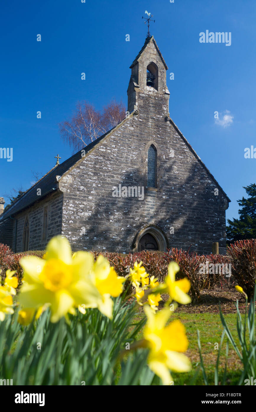 Tapis Tapis Capel Chapelle au printemps de jonquilles en premier plan près de Denbighshire Corwen North East Wales UK Banque D'Images