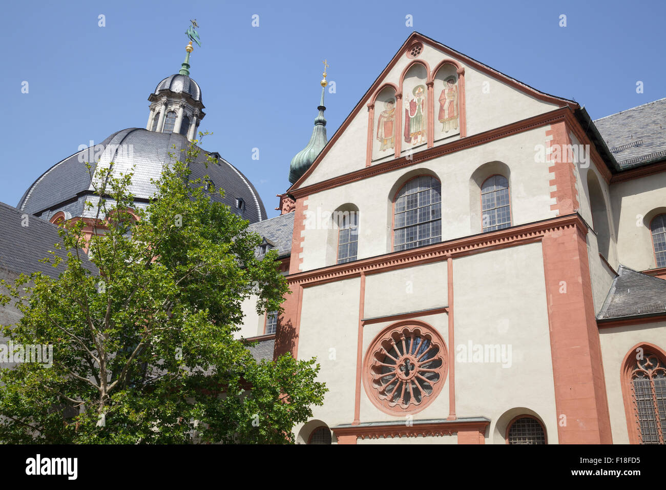 Dom Saint Kilian Cathédrale de Saint Kilian, Würzburg, Bavière, Allemagne Banque D'Images