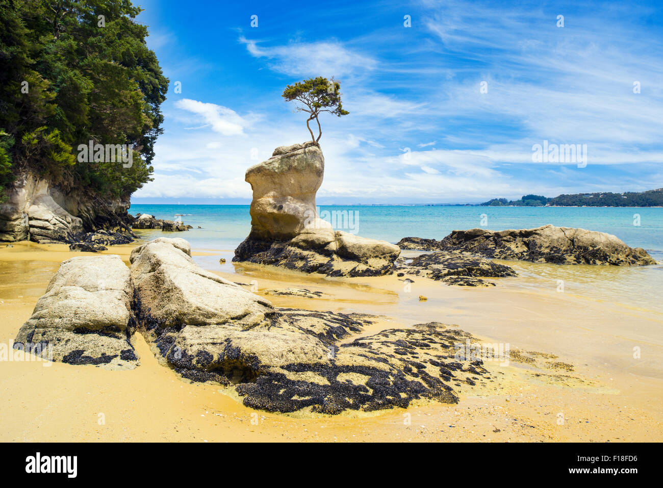 Formation rocheuse inhabituelle au parc national Abel Tasman en Nouvelle Zélande Banque D'Images