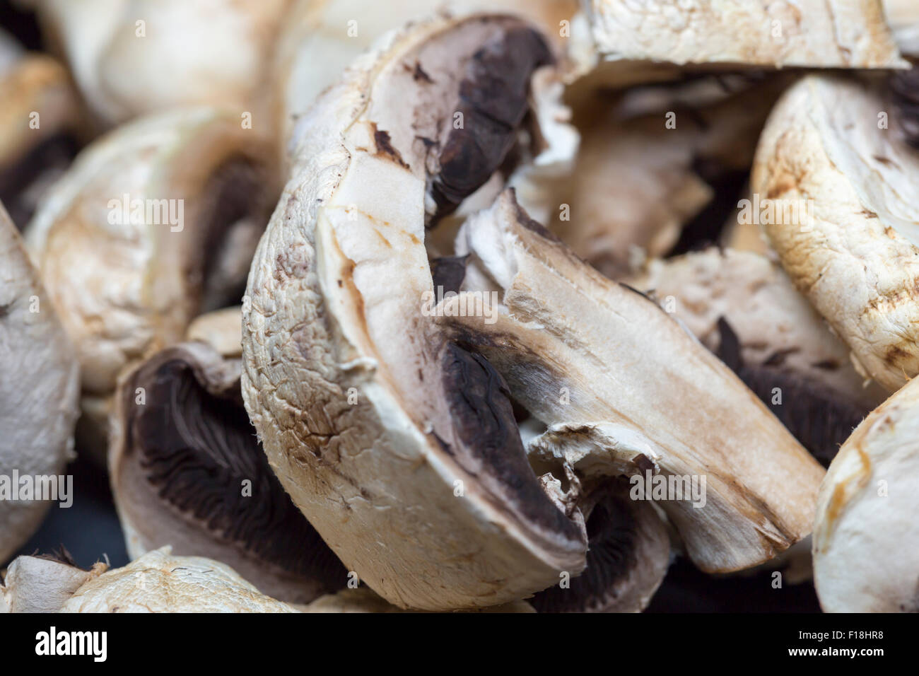 Champignon Agaricus Close Up et réduit de moitié. Banque D'Images