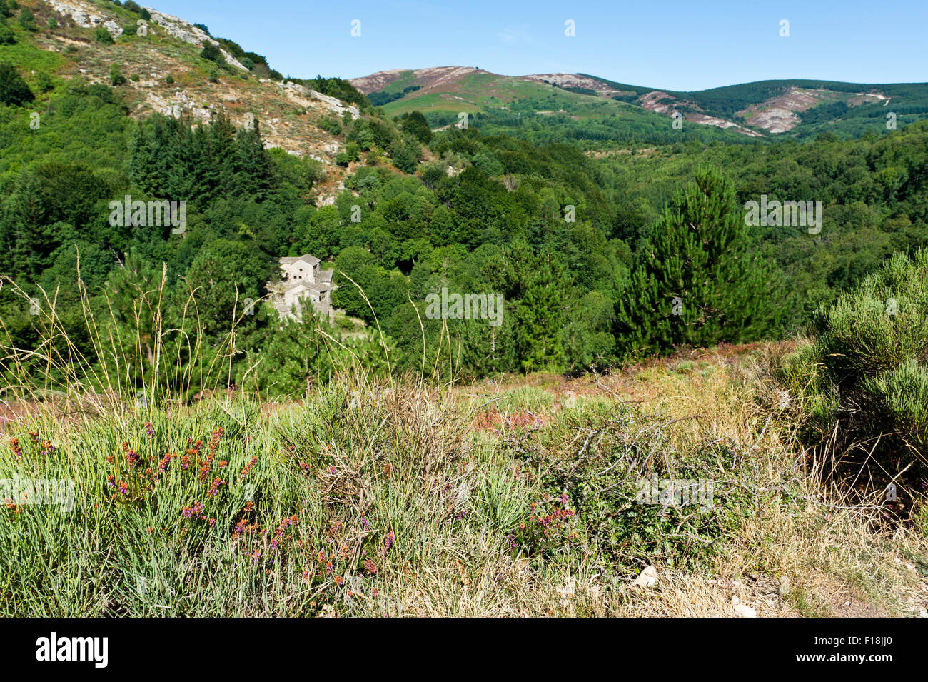 Les Gorges de Colombieres, près de la Fage gite, Hérault, Languedoc Roussillon, France Banque D'Images Les Gorges de Colombieres, près de la Fage gite, Hérault, Languedoc Roussillon, France Banque D'Images