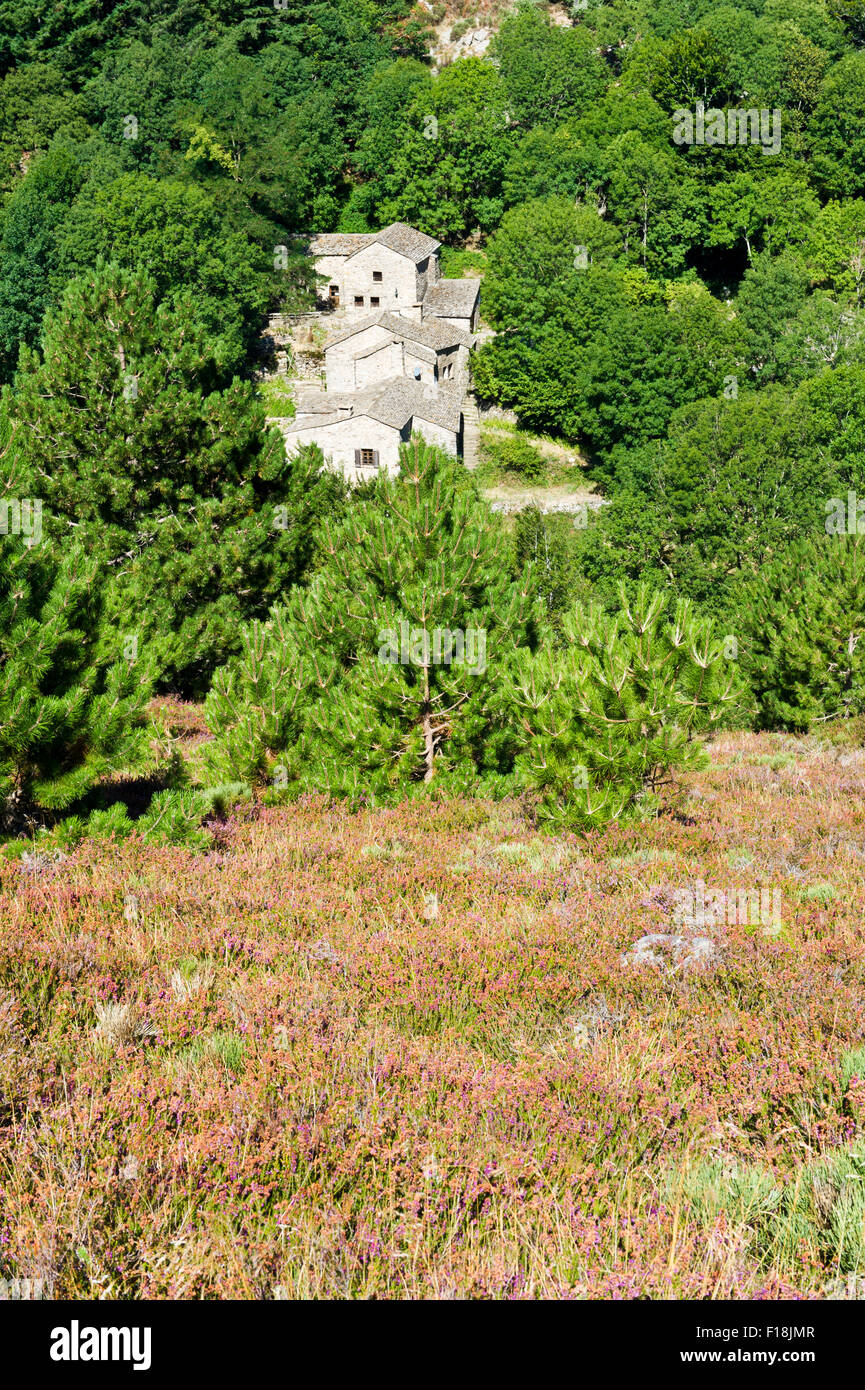 Les Gorges de Colombieres, près de la Fage gite, Hérault, Languedoc Roussillon, France Banque D'Images Les Gorges de Colombieres, près de la Fage gite, Hérault, Languedoc Roussillon, France Banque D'Images