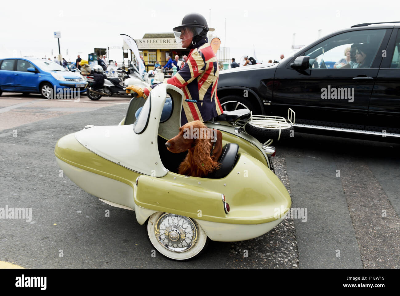 Brighton, UK. 30 août, 2015. Un chien setter rouge promenades dans le side-car d'un scooter qui arrivait pour le Mod Weekender événement dans Brighton aujourd'hui, des milliers de mods avec leurs trottinettes descendre sur Brighton pour le Mod annuel qui est un événement week-end 3 jours de célébration de leurs véhicules , la mode et les années 60 Banque D'Images