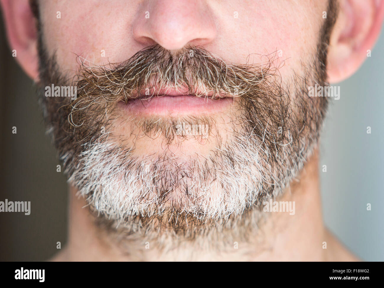 Libre d'une barbe complète Banque D'Images