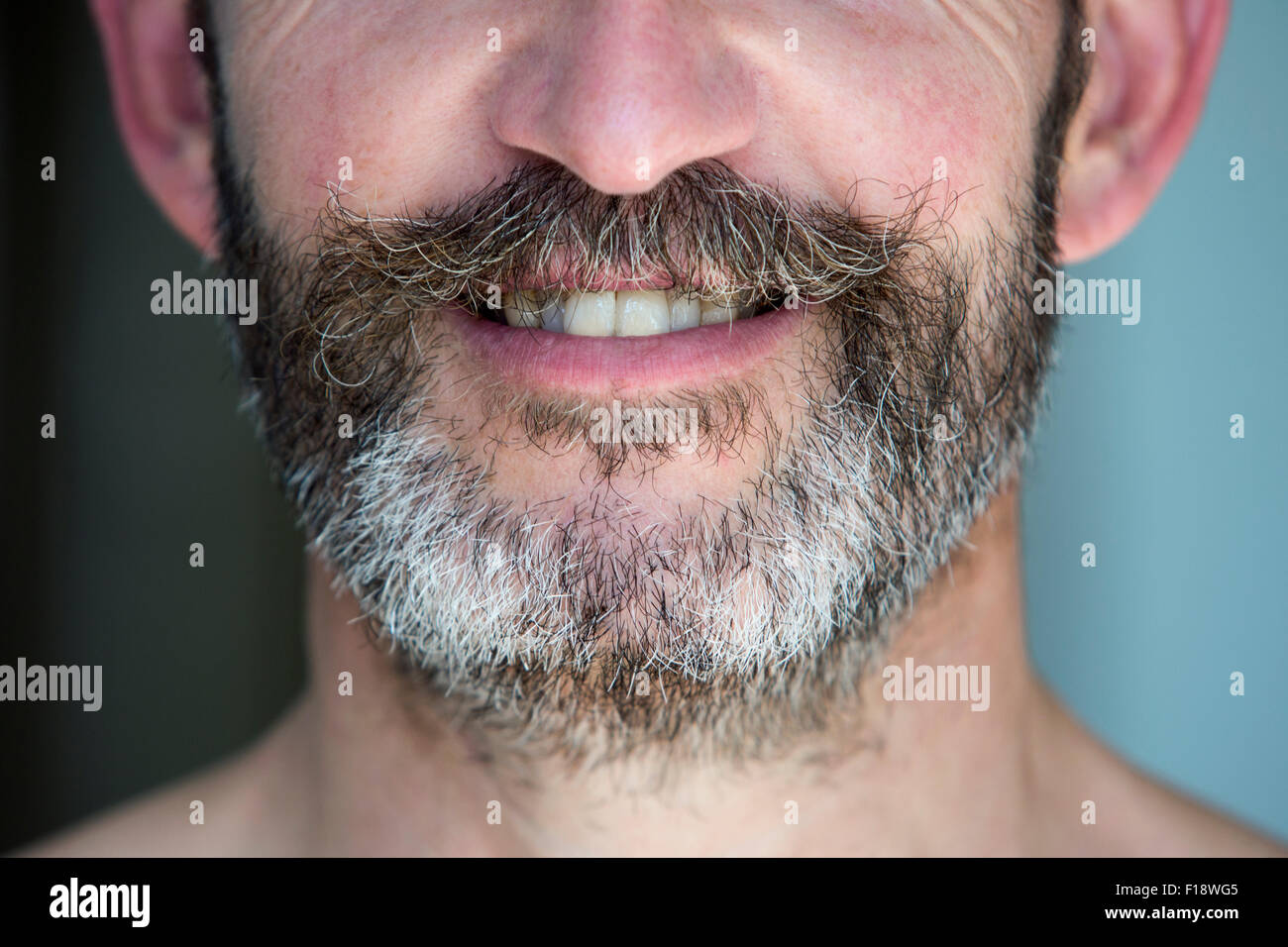 Closeup of a smiling man avec barbe complète Banque D'Images