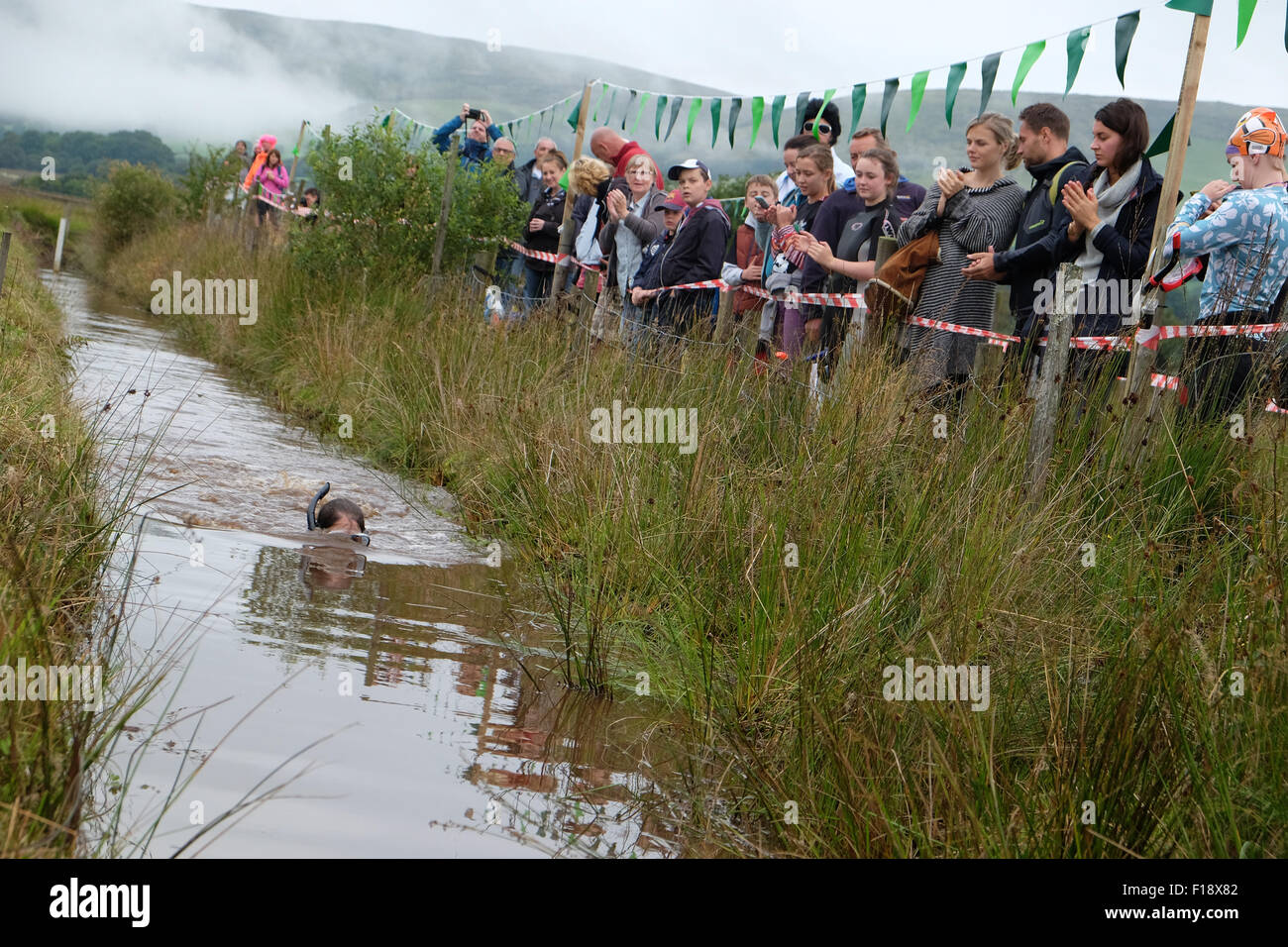 Llanwrtyd Wells, Powys, Wales, UK. 30 août, 2015. Les spectateurs applaudir un concurrent comme il tubas à travers la tourbière sur un jour nuageux gris brumeux au milieu du Pays de Galles. Cette ans 30th World Bog Snorkelling Championship se tiendra dans deux tranchées boggy rempli d'eau au milieu du Pays de Galles. Banque D'Images