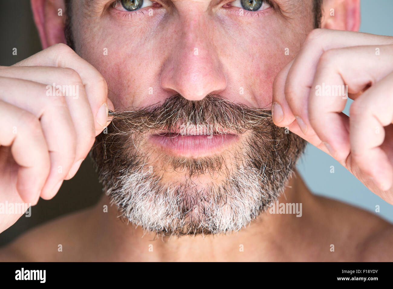 Portrait of a handsome man with beard Banque D'Images