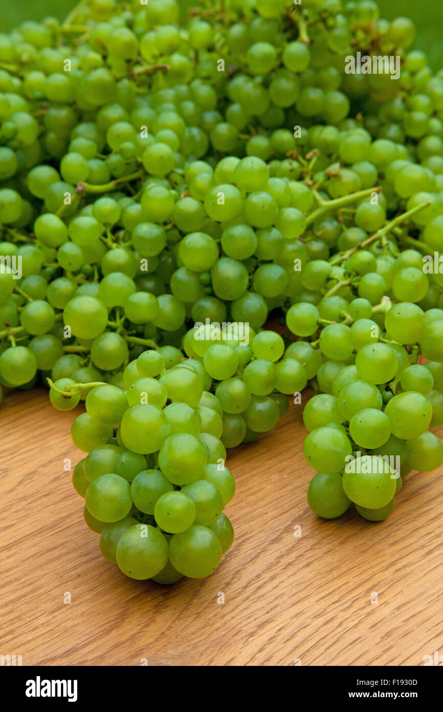 Vendanges sur table en bois Banque D'Images Vendanges sur table en bois Banque D'Images