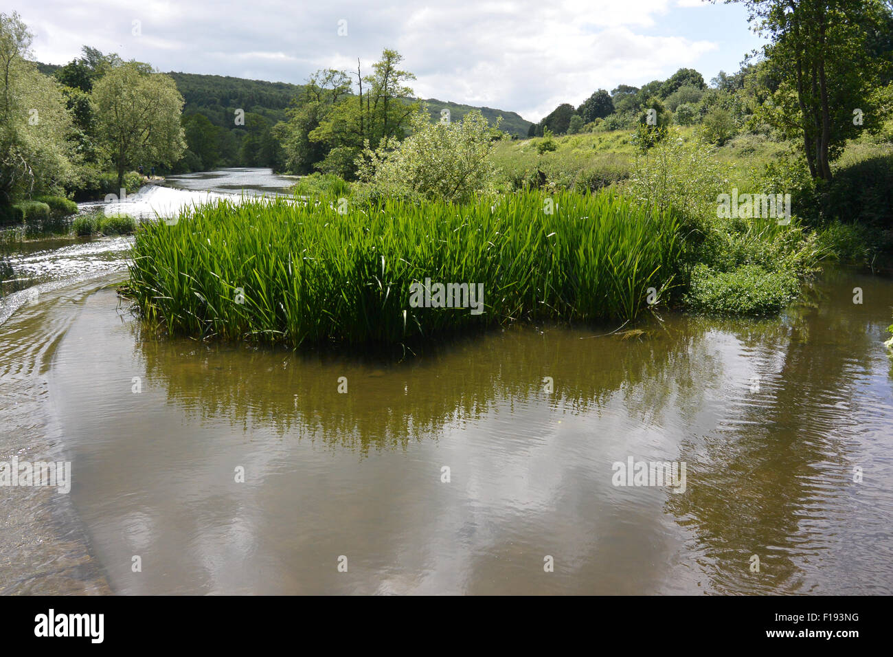 Warleigh Weir Banque D'Images