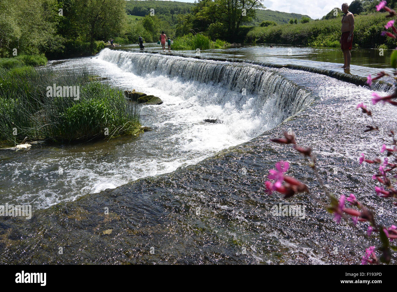 Les nageurs de marcher le long de la paroi de la 100m de long déversoir à Warleigh Weir Banque D'Images