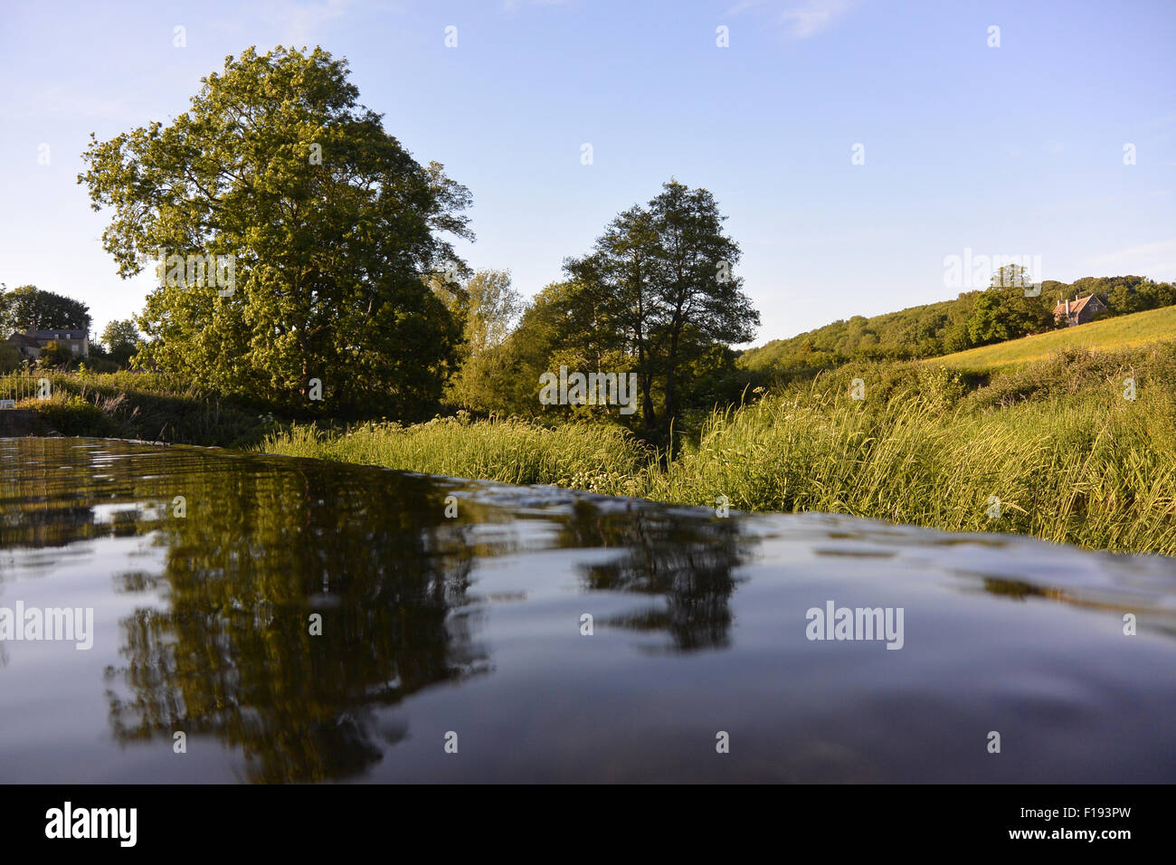 Warleigh weir - wild natation piscine à débordement Banque D'Images