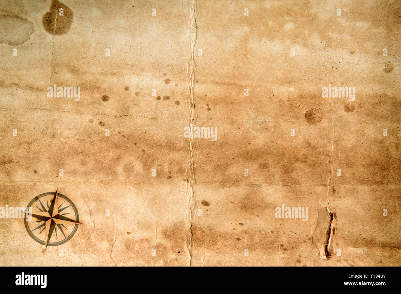 Old grunge papier vierge avec feuille rose des vents Banque D'Images