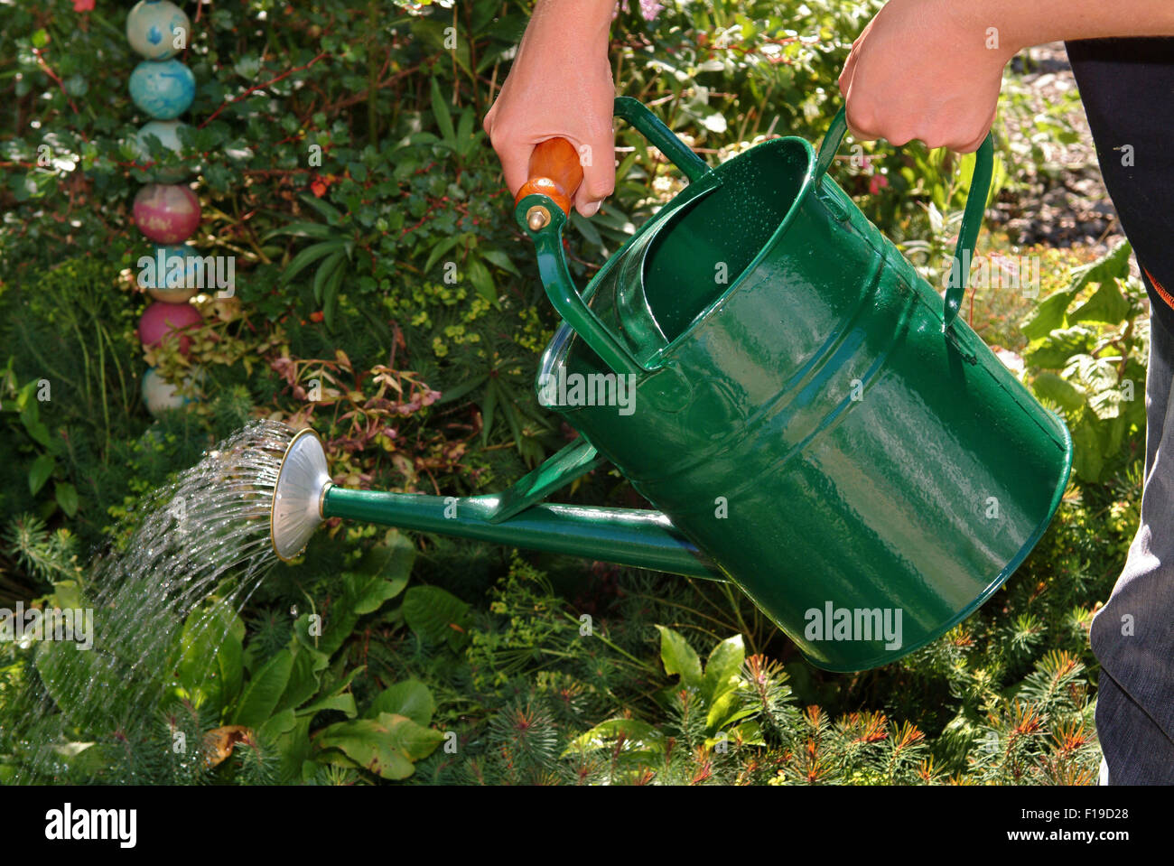 L'arrosage du jardin avec des arrosoirs. Un UK Jardinage Horticulture  loisirs accueil l'eau Photo Stock - Alamy