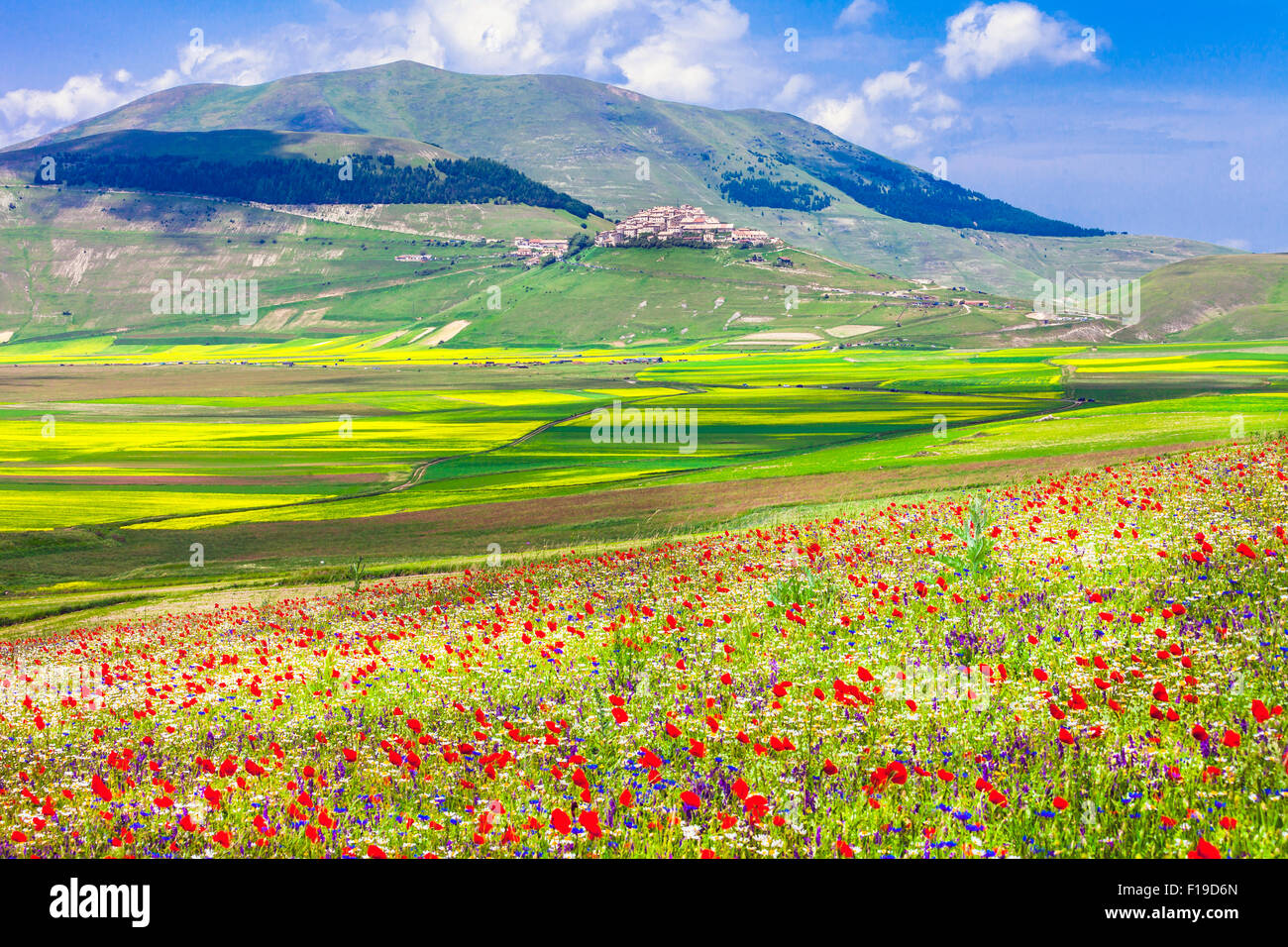 Les champs en fleurs dans les montagnes et village Sibilini Castelluccio di Norcia Banque D'Images