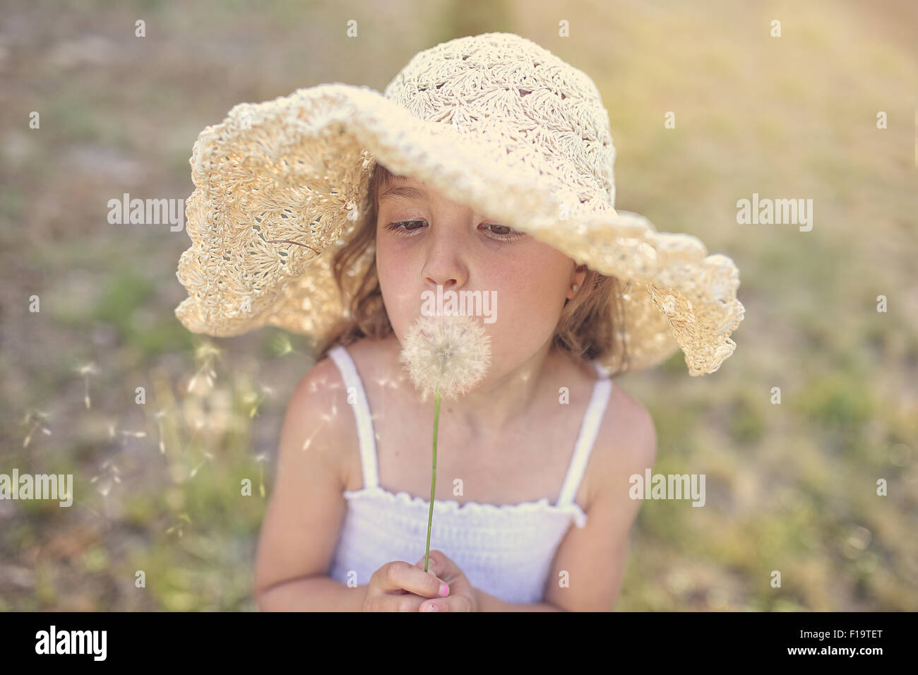 Jeune fille dans un chapeau blowing dandelion Banque D'Images