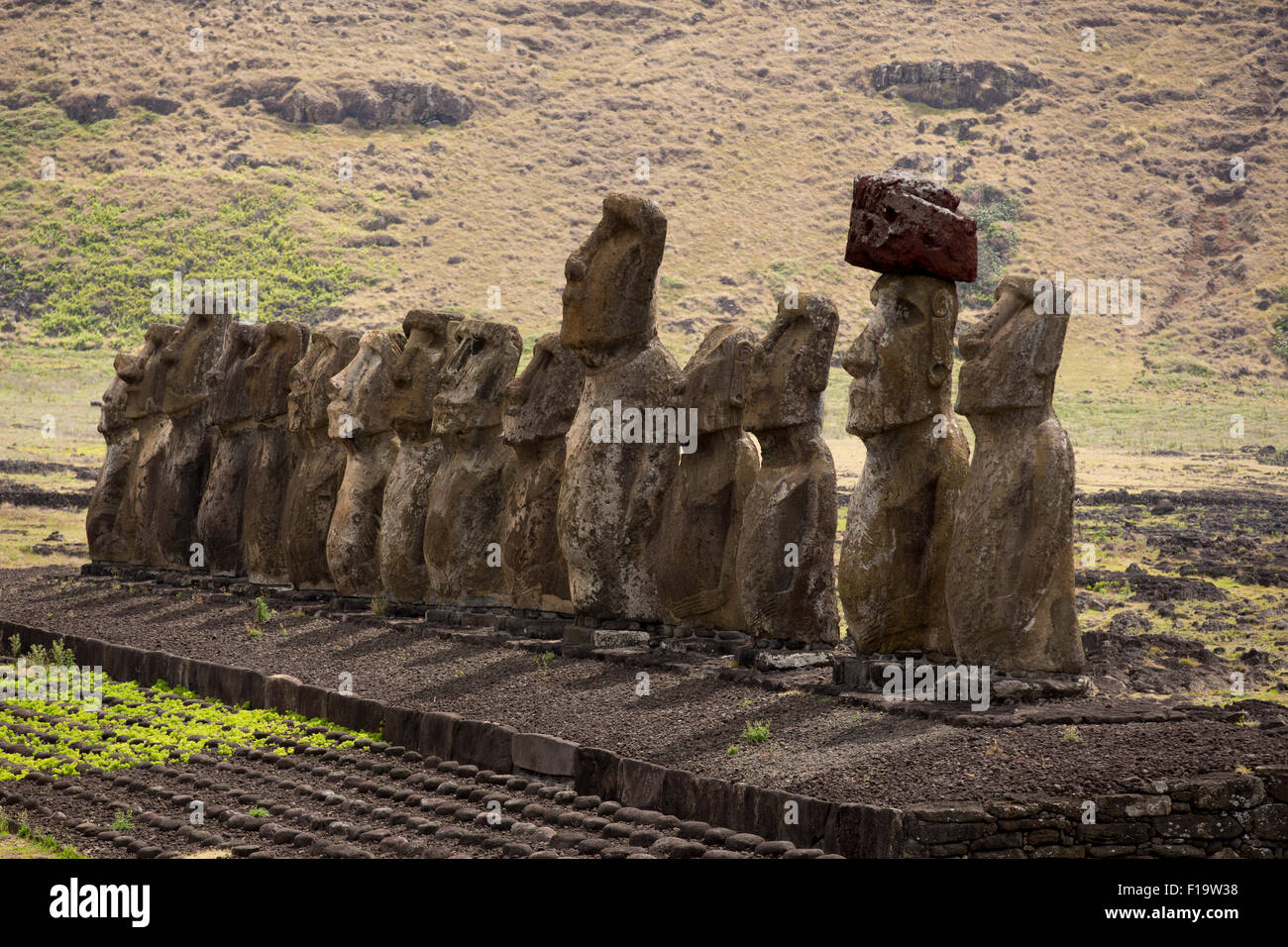 Tongariki, côte sud-est, l'île de Pâques ou Rapa Nui. La plate-forme de cérémonie du 15 Moai représentant les ancêtres. Banque D'Images