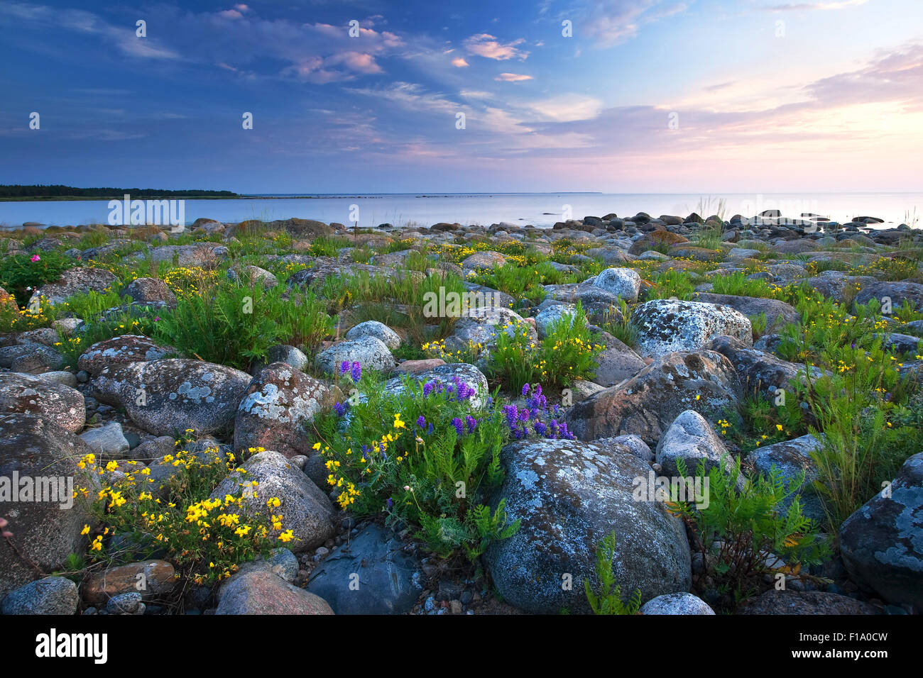 Les rivages rocailleux à la mer Banque D'Images