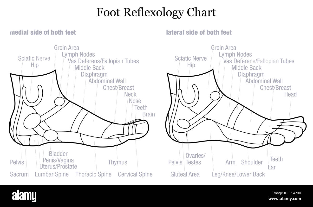 Réflexologie des pieds tableau - medial-À l'intérieur et l'extérieur-latéral voir des pieds - avec description des organes internes correspondantes. Banque D'Images