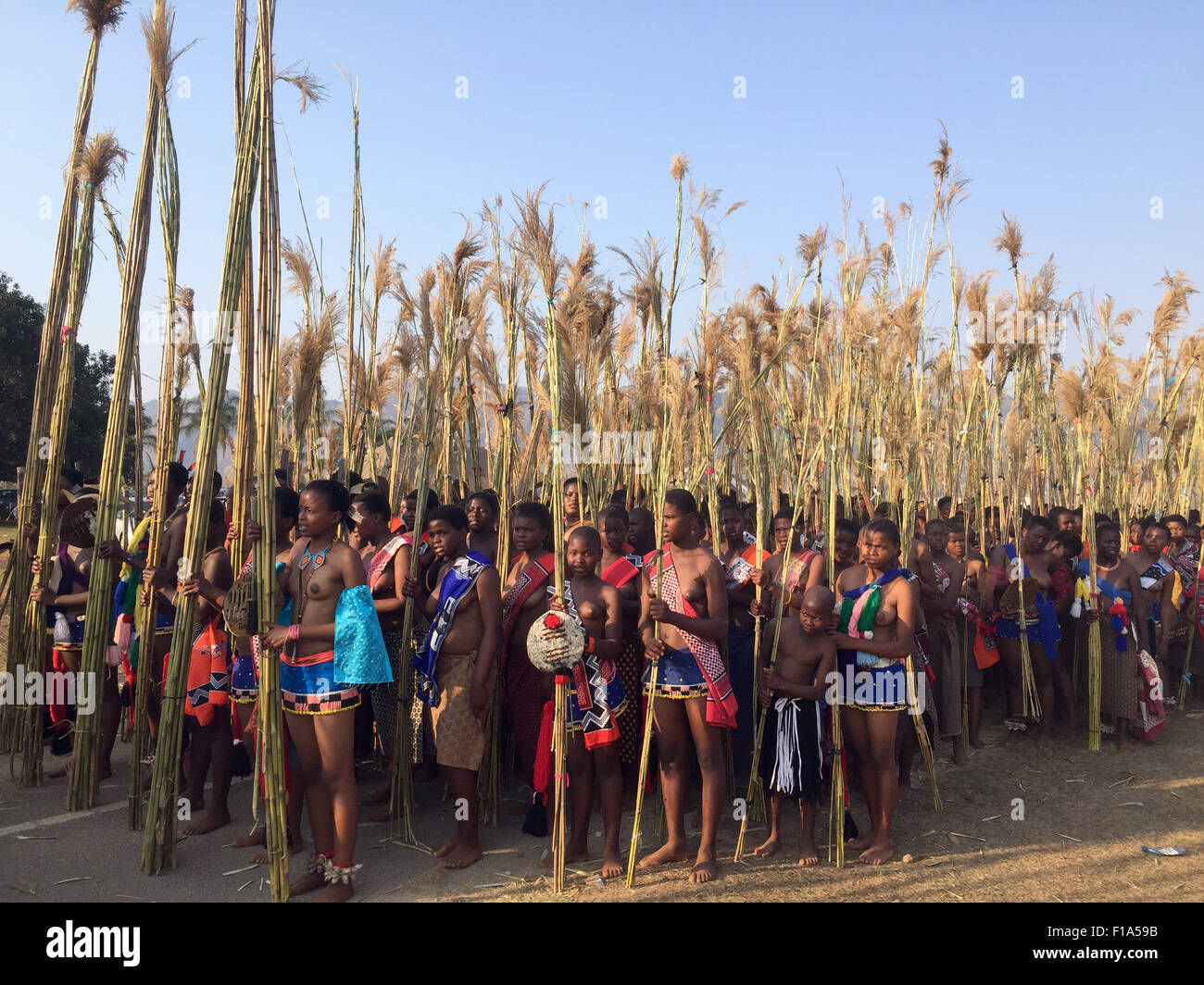 Ludzidzini, Swaziland. Août 30, 2015. Les jeunes femmes répéter la danse Umhlanga à Ludzidzini, Swaziland, 30 août 2015. L'Umhlanga traditionnels ou de roseaux, danse dans laquelle des milliers de jeunes femmes dansent pour la Reine mère et le Roi Mswati III est le moment fort de la vie culturelle de l'année au Swaziland et a lieu le 31 août. Photo : Juergen Baetz/dpa/Alamy Live News Banque D'Images