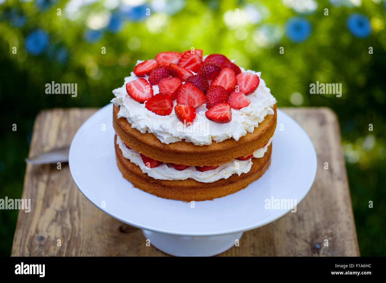 Summer berry cake Banque D'Images