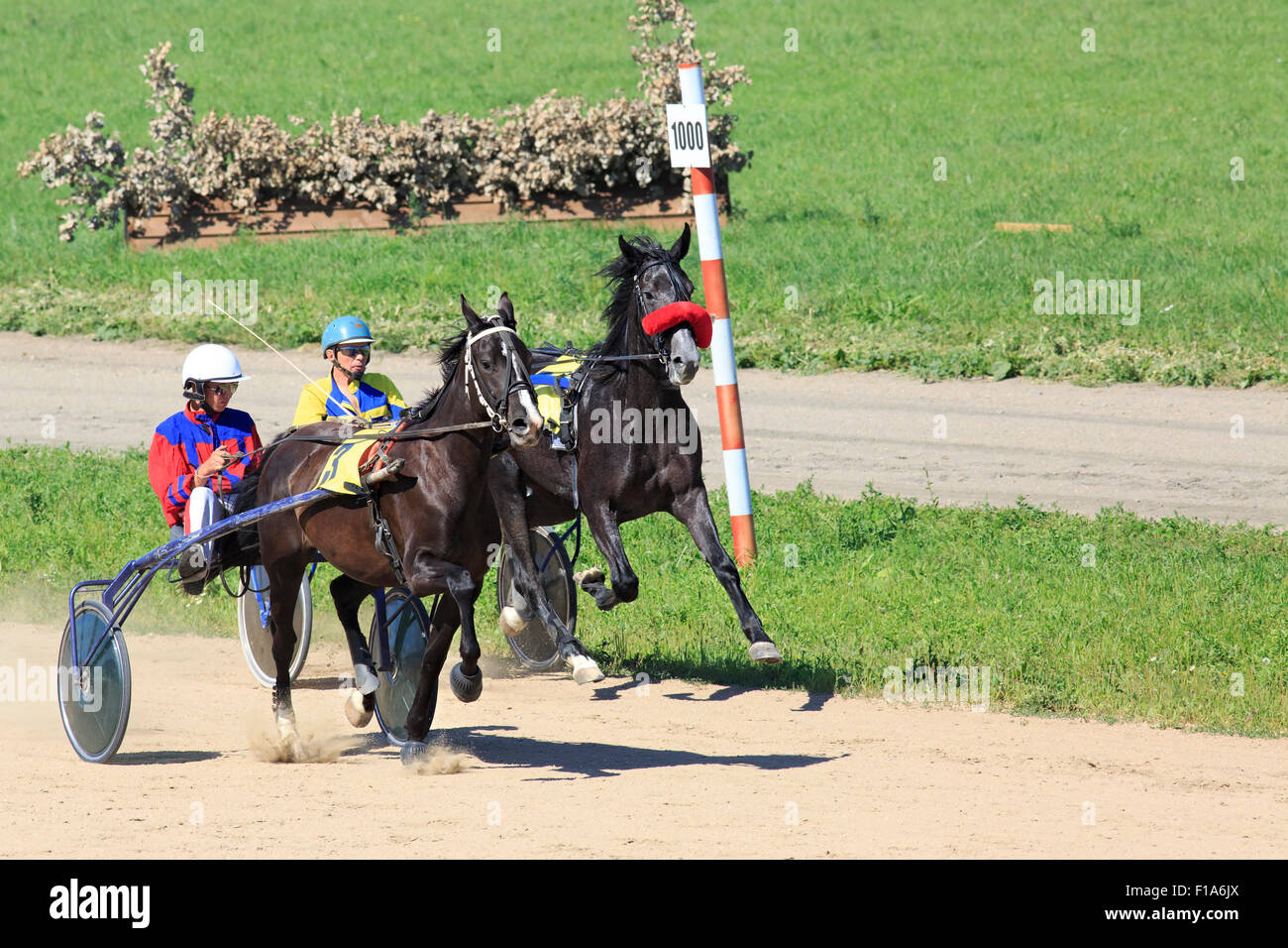 Courses hippiques à l'Hippodrome Sibirskoe podvorie Banque D'Images