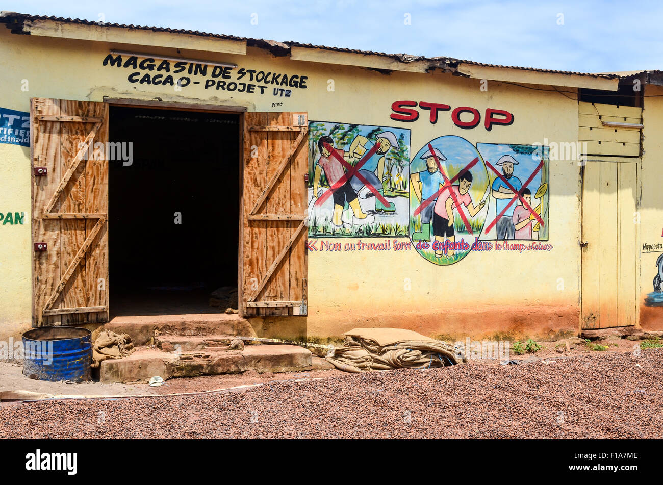 Le séchage du cacao en Côte d'Ivoire Banque D'Images