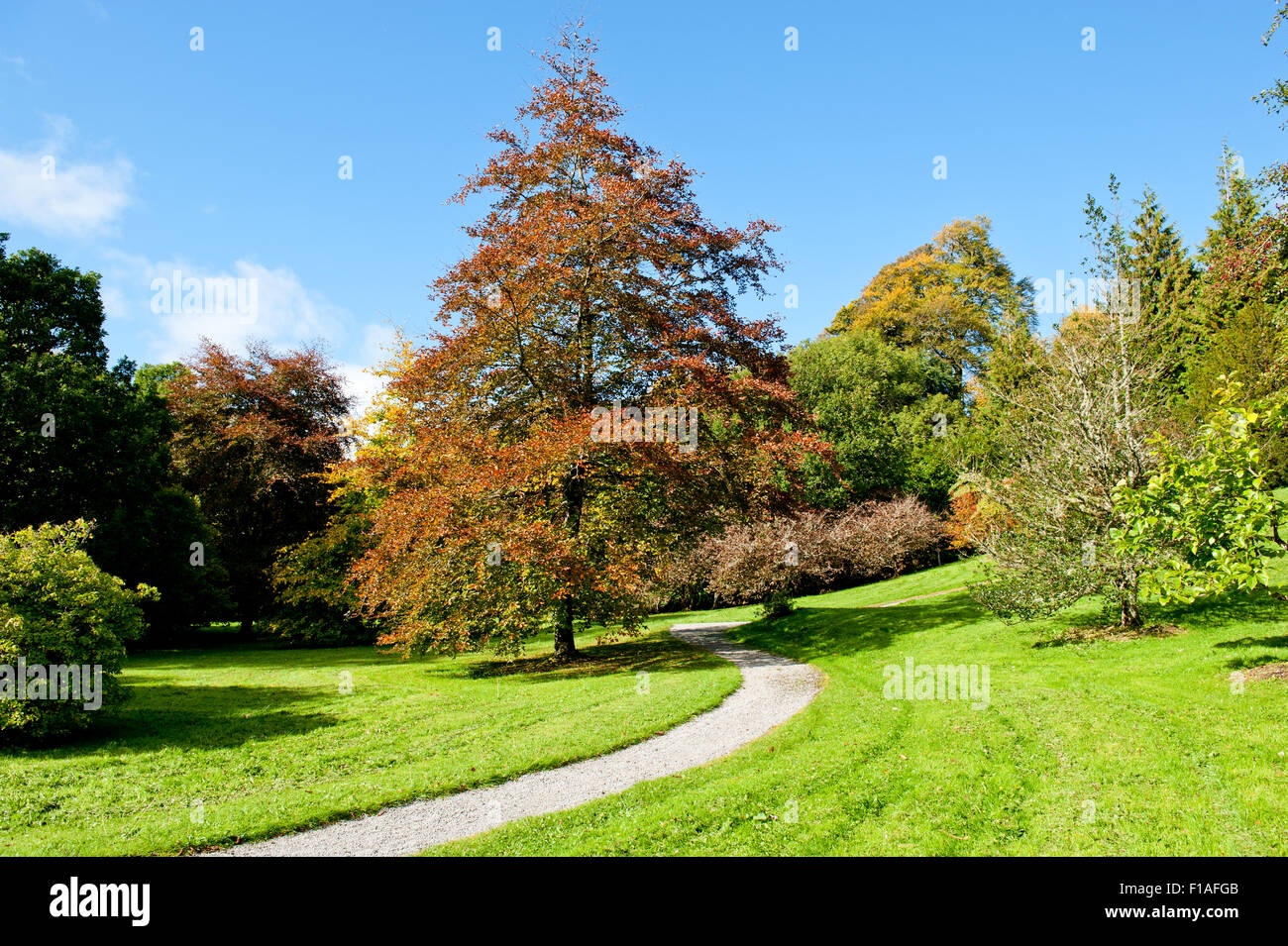 Belle journée d'automne dans le parc Banque D'Images