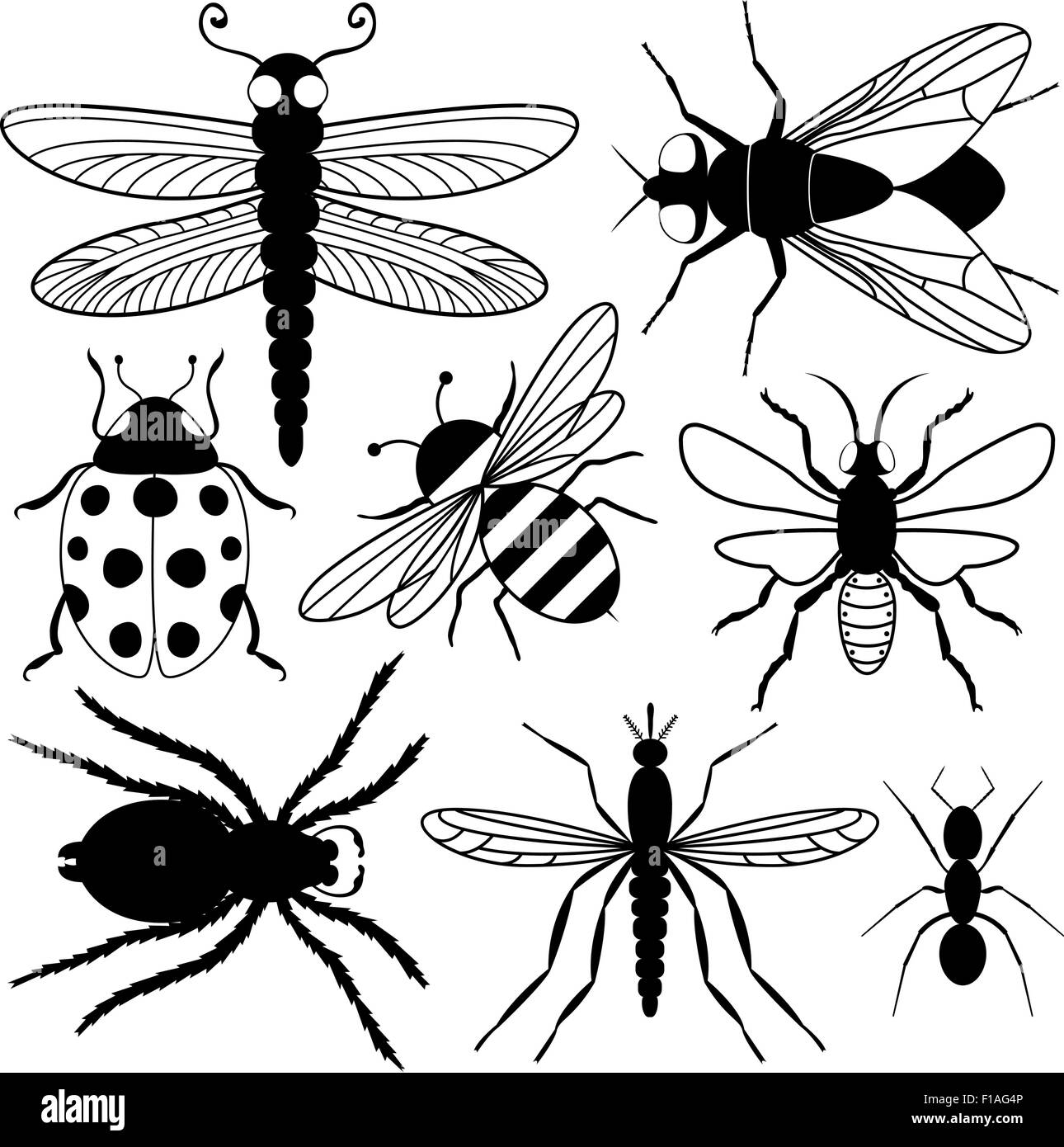 Huit Silhouettes d'insectes Illustration de Vecteur
