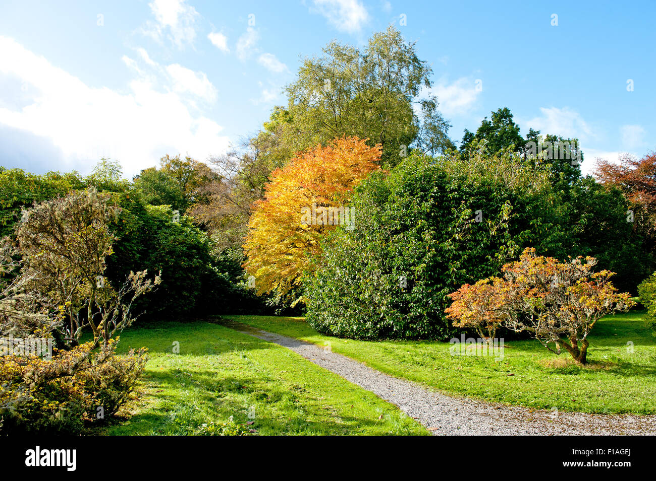 Belle journée d'automne dans le parc Banque D'Images