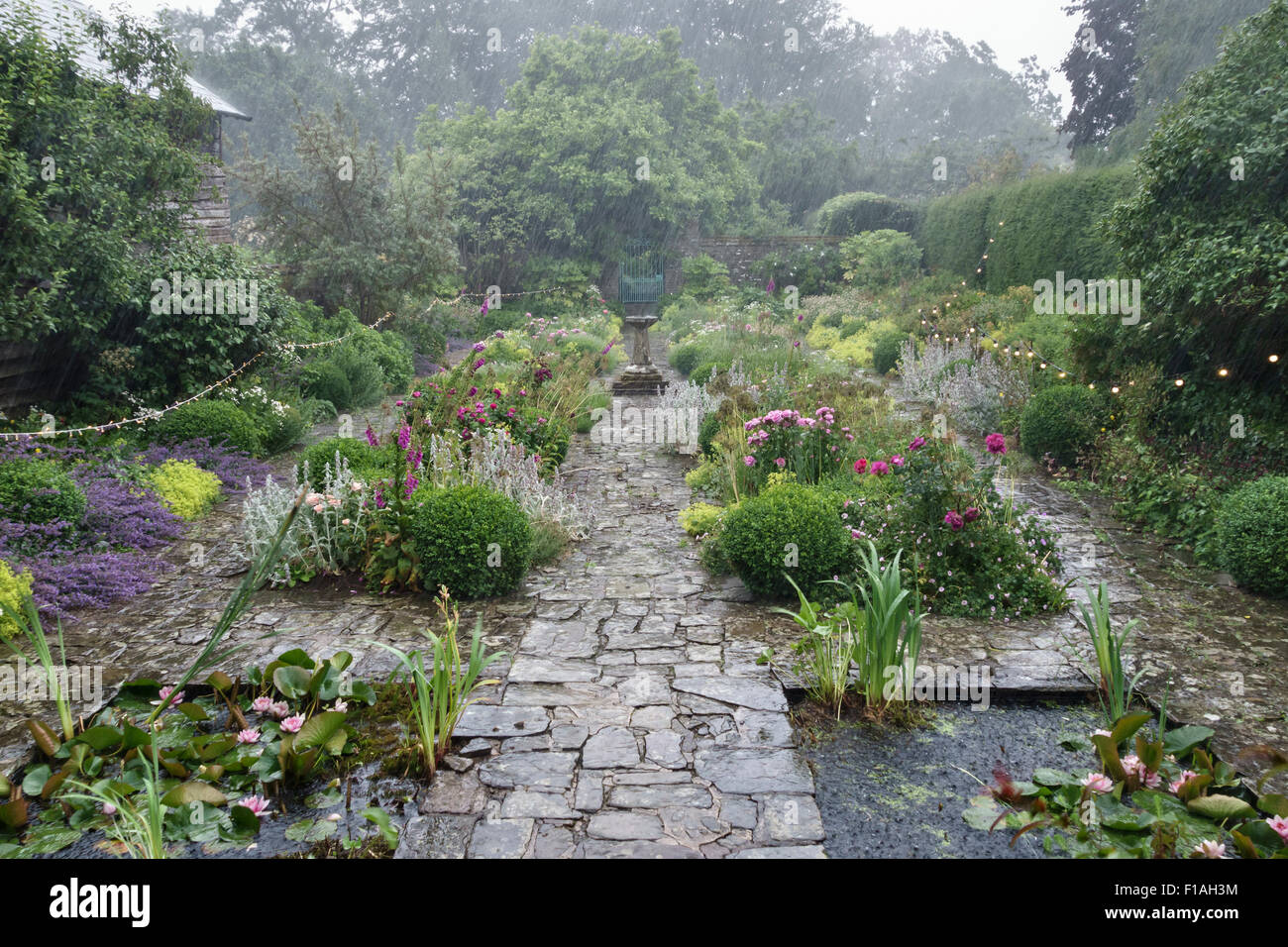 Pays de Galles, Royaume-Uni. Un jardin est baignée par de fortes pluies pendant une partie de la zone humide de l'été 2015 Banque D'Images