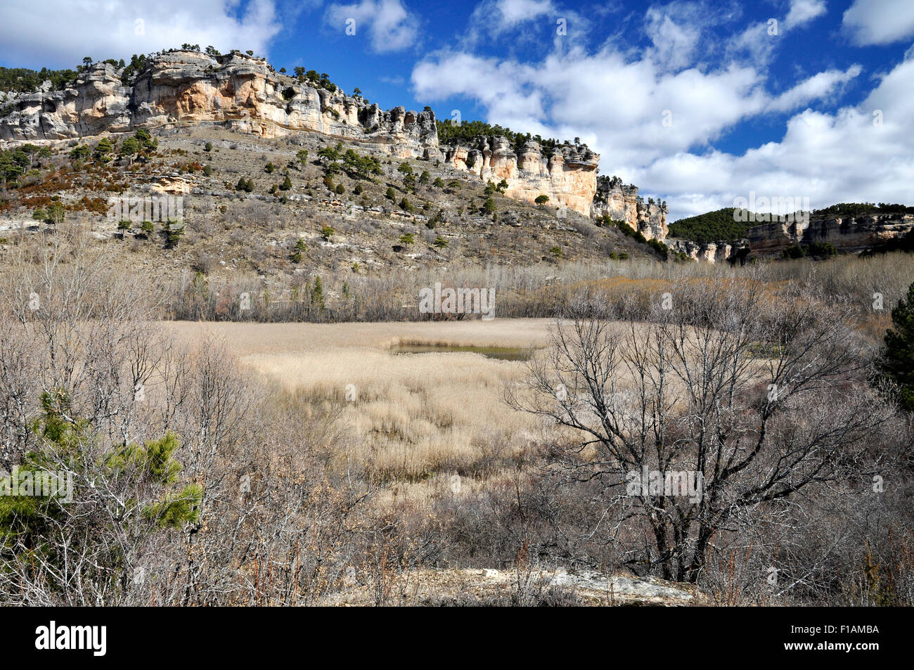 Vue sur le paysage du lagon de Laguna de Uña avec roseaux et falaises environnantes dans le parc naturel de Serrania de Cuenca (Cuenca, Castilla-la Mancha, Espagne) Banque D'Images