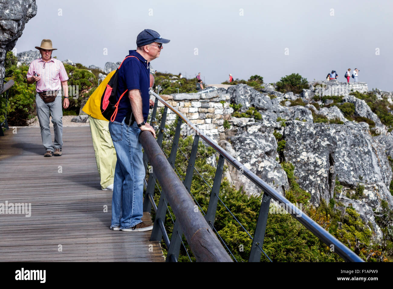 Cape Town Afrique du Sud, Afrique, Table Mountain National Park, réserve naturelle, haut, randonnée, sentier, adultes homme hommes, regarder, vue, vue, visito Banque D'Images