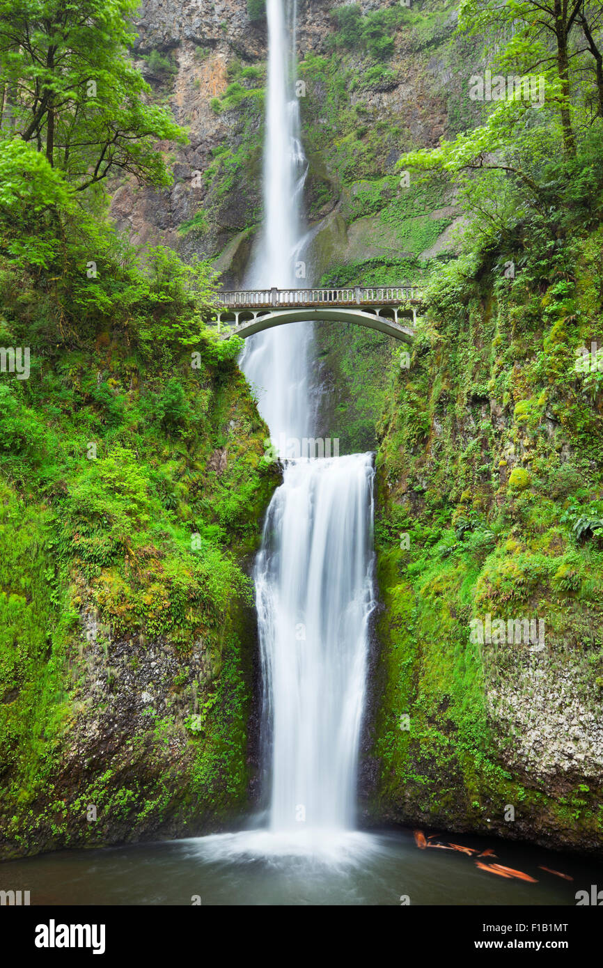 Multnomah Falls dans la Columbia River Gorge, Oregon, USA. Banque D'Images