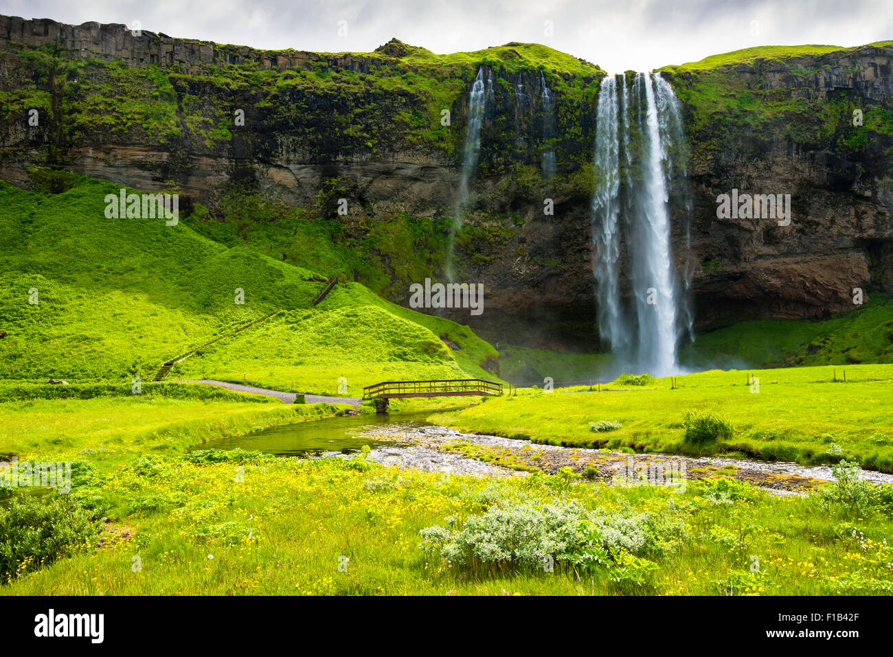 Cascade de Seljalandsfoss avec Green Meadows, l'Islande Banque D'Images