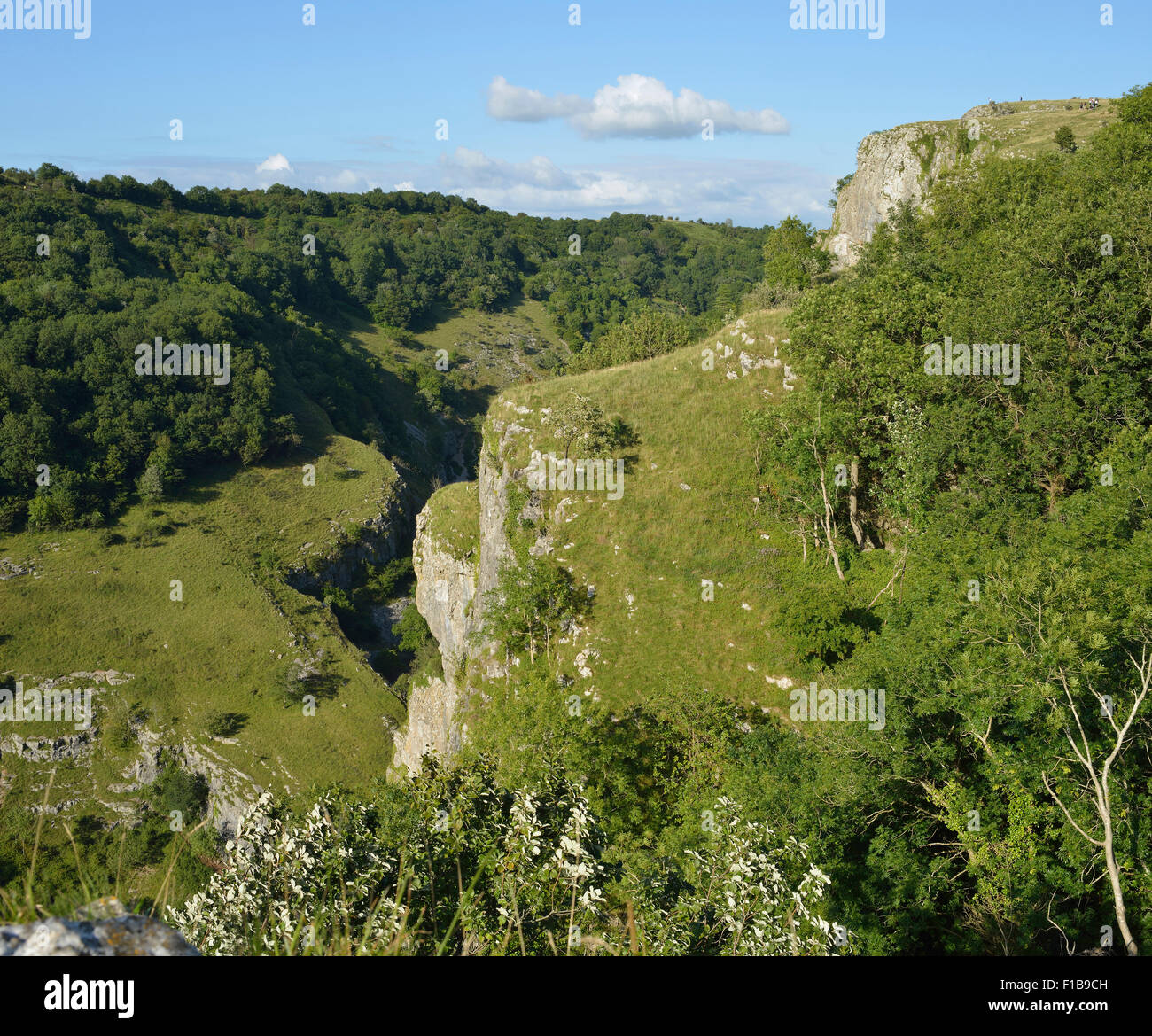 Les gorges de Cheddar, collines de Mendip, Somerset Voir dans la gorge du côté sud cliffs Banque D'Images
