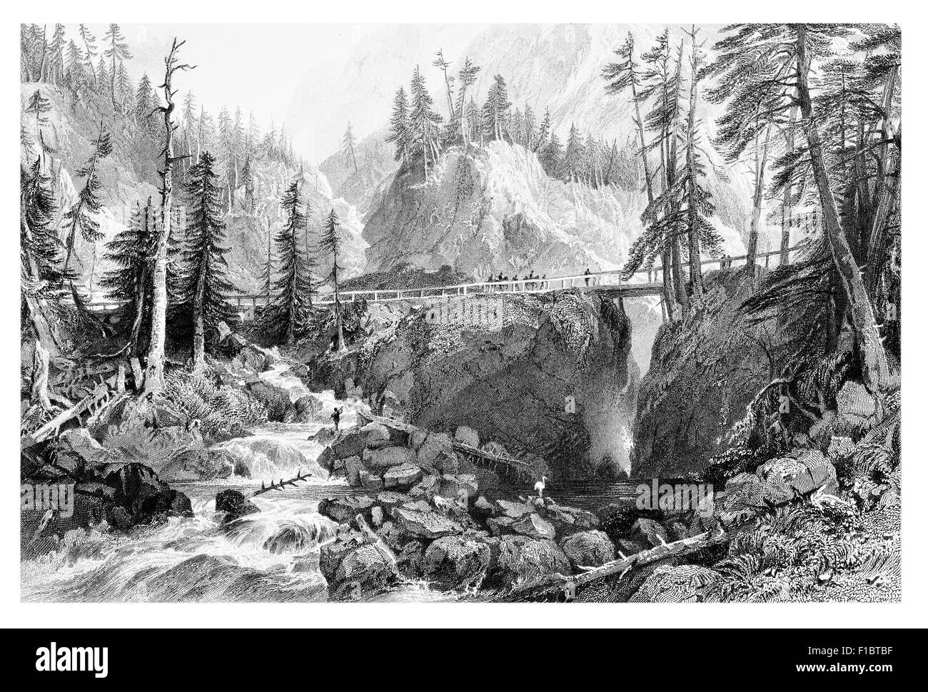 Pont de Espagne Hautes Pyrenees gorge de montagne forêt de pins paysages alpins Banque D'Images