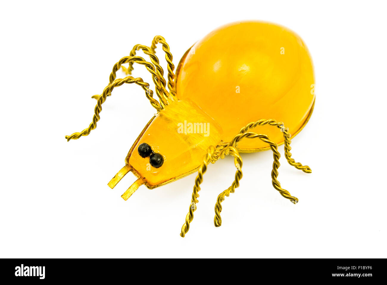 Spider ambre isolated on white Banque D'Images