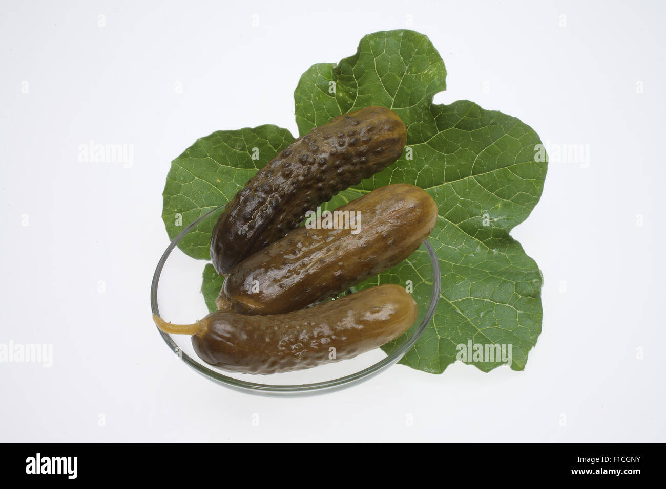 Cornichon cornichon aigre ou sur une feuille de sur fond