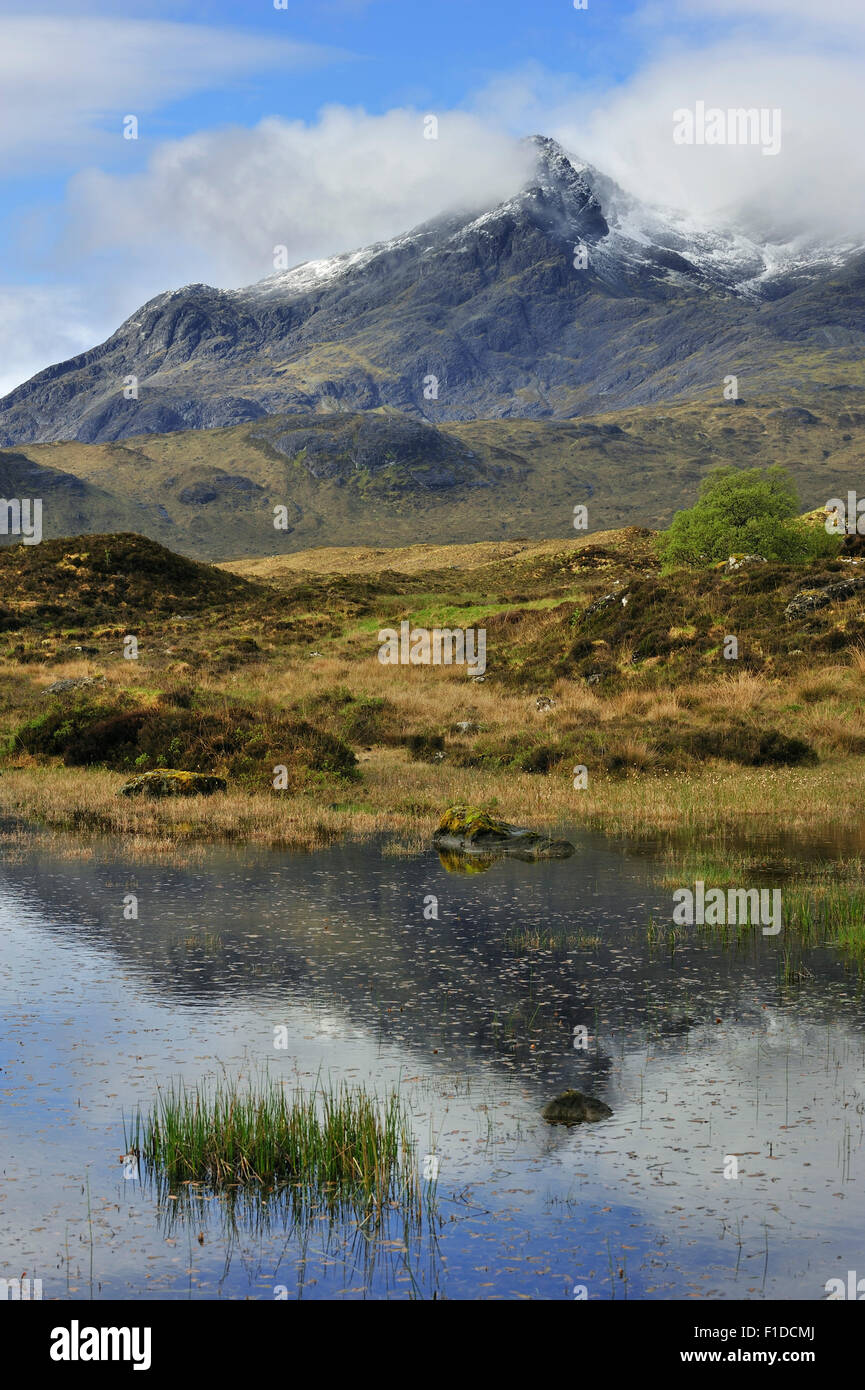 Bog et Sgurr nan Gillean dans les Cuillin Hills vu de Sligachan sur l'île de Skye, Écosse, Hébrides intérieures Banque D'Images