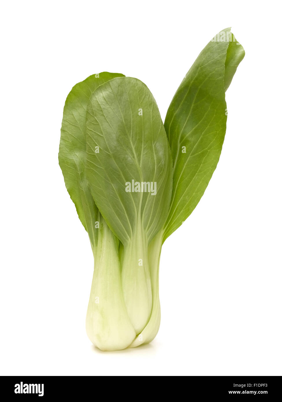 Choi Banque d'images détourées Alamy