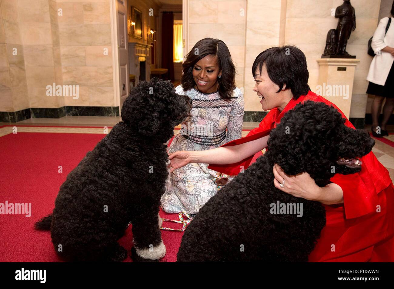 Première Dame des États-Unis Michelle Obama et la Première Dame Akie Abe du Japon sont accueillis par la famille Obama animaux Bo et ensoleillée dans le couloir du rez-de-chaussée de la Maison Blanche le 28 avril 2015 à Washington, D.C. Banque D'Images