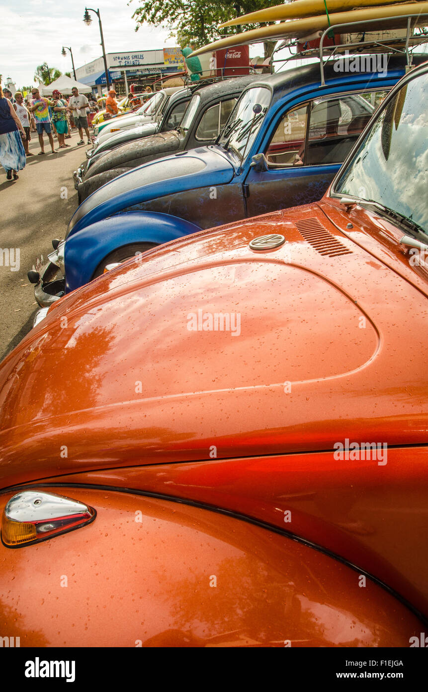 Hippy Fest 2015 Volkswagen Tampa Floride Banque D'Images