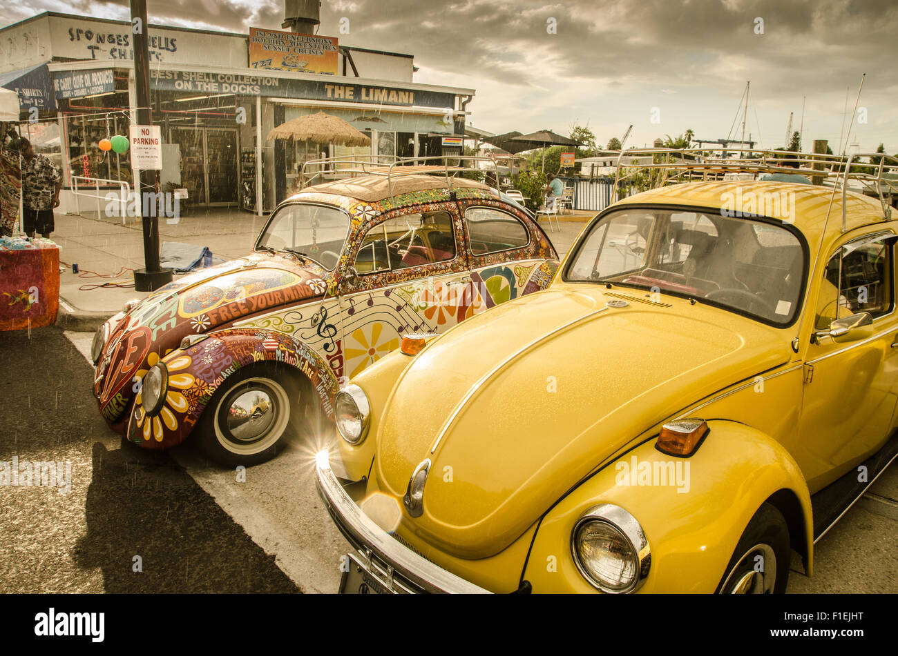 Hippy Fest 2015 Volkswagen Tampa Floride Banque D'Images