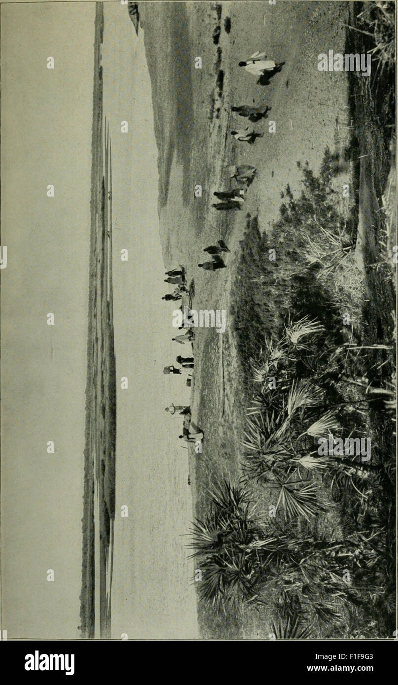 Cet ouvrage documente l’expédition allemande centrafricaine (1910-1911), décrivant le voyage du Congo au Niger et au Nil. Il comprend des comptes rendus détaillés de la géographie, de la culture et de l'histoire naturelle rencontrées au cours de l'expédition. Banque D'Images