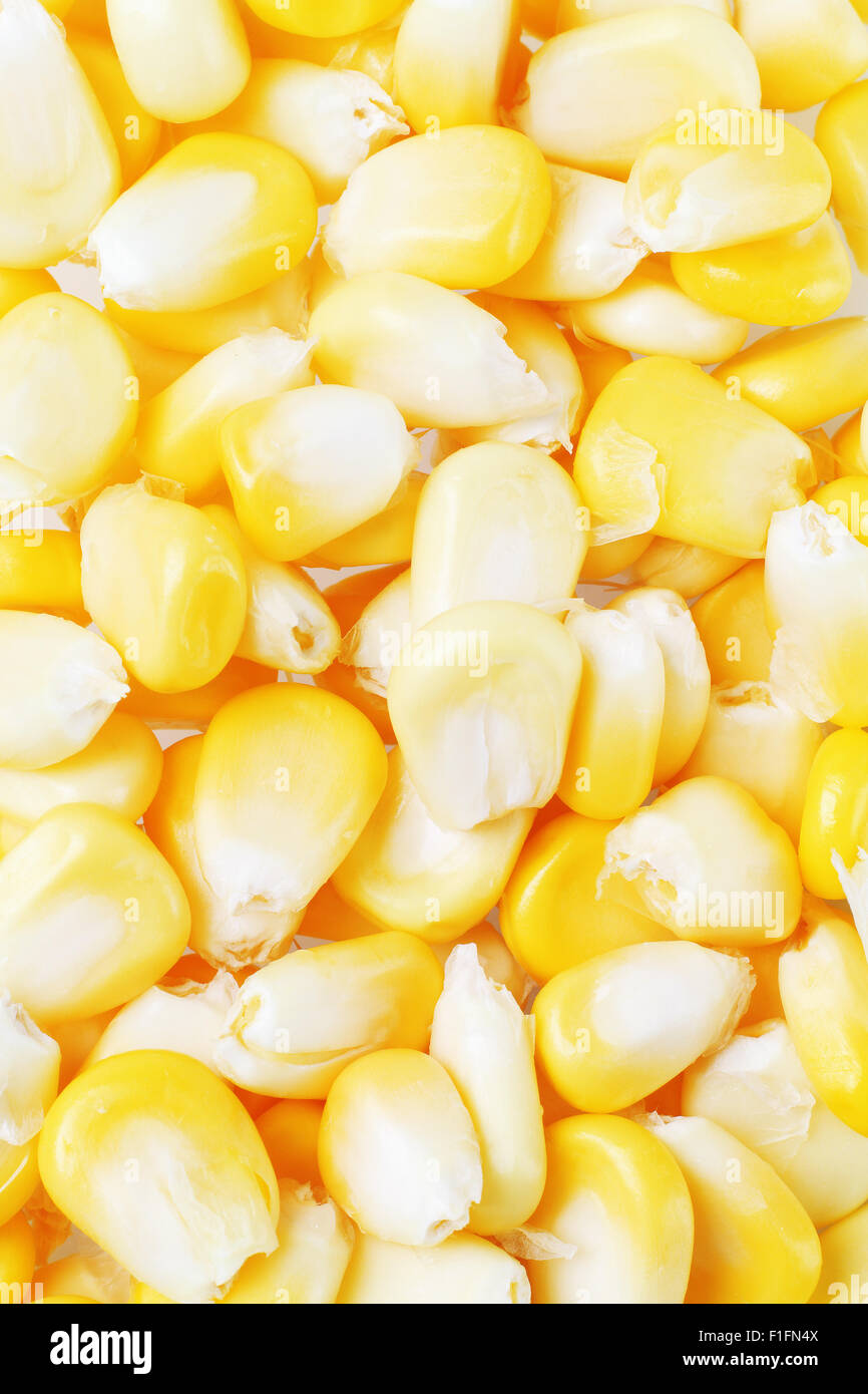 Arrière-plan de grains de maïs sucré frais Banque D'Images